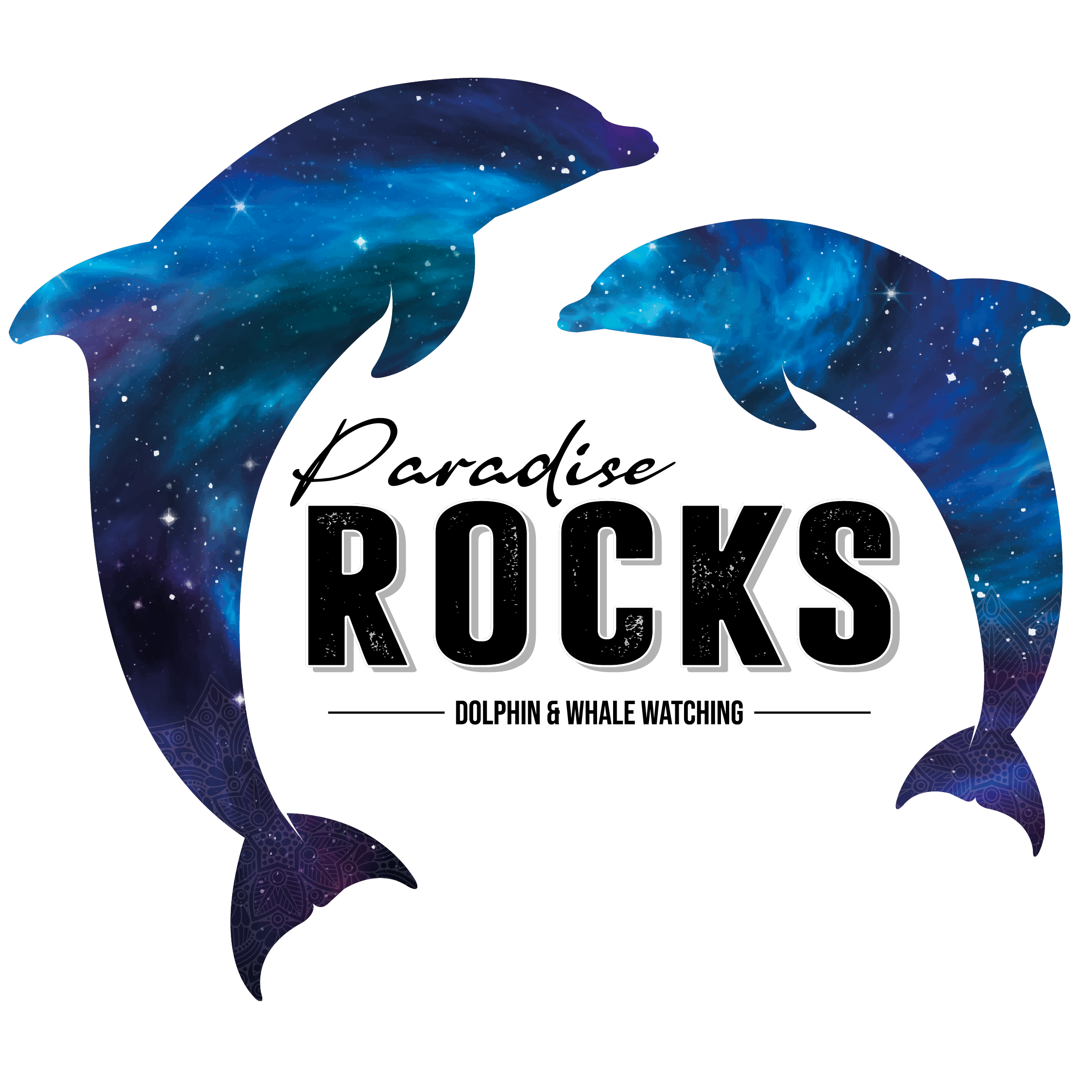 Paradise Rocks · Dolphin & Whale Watching